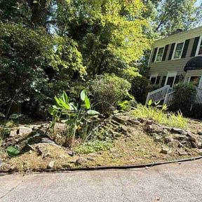 Flower Bed Weeding by Ninaci Real Estate reviewed on August 27, 2026