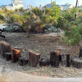 Flower Bed Weeding by Lawn Fellaz LLC reviewed on November 24, 2025