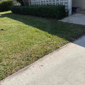 Bush Trimming by M &amp; F Landscaping Services LLC reviewed on April 14, 2022