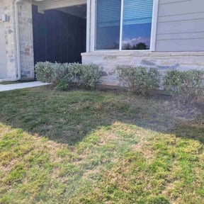 Bush Trimming by Jones Lawn Care reviewed on August 21, 2025