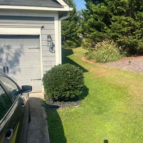 Bush Trimming by HLC Management reviewed on May 20, 2022