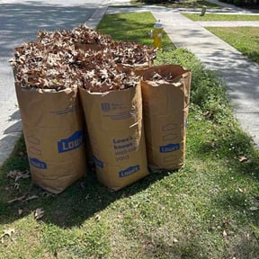Leaf Removal by SOCIFY LLC reviewed on April 25, 2026