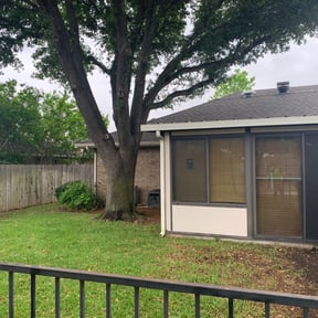 Leaf Removal by Harley stevenson reviewed on October 1, 2025