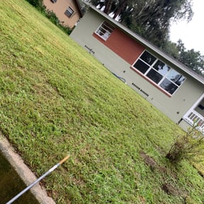 Bush Trimming by Doyle Land Systems reviewed on November 9, 2017