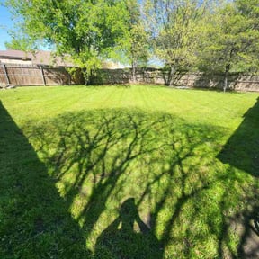 yard work by Sunshine Quality Cuts reviewed on August 20, 2025