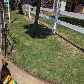 grass cutting by Rosas Handy Workz reviewed on August 21, 2025