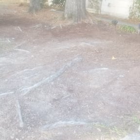 Leaf Removal by CEA Fresh Cuts Lawn Care LLC reviewed on September 20, 2025