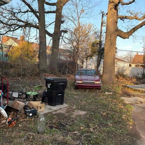 Leaf Removal by Jay's Resource reviewed on November 24, 2025