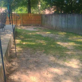 Leaf Removal by All Pro Landscaping Services reviewed on September 30, 2025