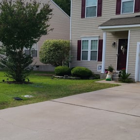 Bush Trimming by Blue Line Property Solutions LLC reviewed on August 20, 2025