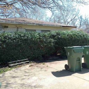 Bush Trimming by KingWay outdoor/inside lawn service, flowersbeds,pressure wash,painter reviewed on August 15, 2025