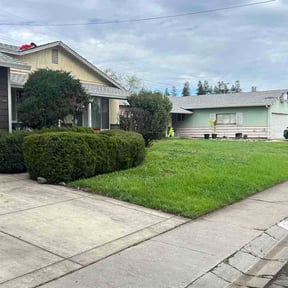 Bush Trimming by Wayne Howard reviewed on February 27, 2026