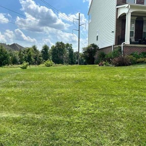 turf maintenance by GC Lawn Care & Landscaping Services reviewed on August 14, 2025