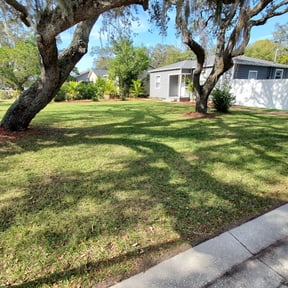 grass cutting by B&t lawn servicee reviewed on May 13, 2024