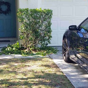 Bush Trimming by Enrique&#039;s Outdoor Maintenance reviewed on June 30, 2023