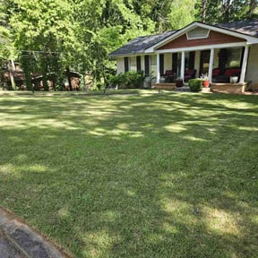 yard work by All Love It reviewed on November 19, 2025