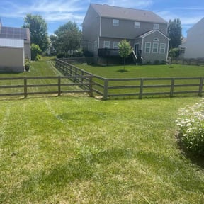 yard care by Elite Services reviewed on December 25, 2025