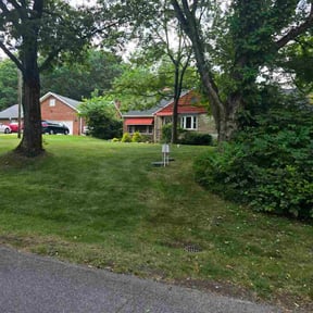 Bush Trimming by Exclusive Cuts reviewed on July 14, 2020