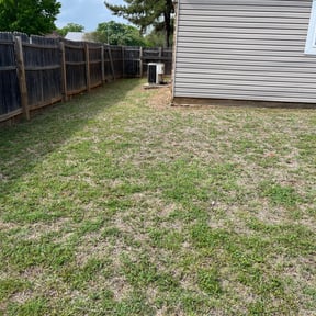 Leaf Removal by Mr. Mower reviewed on September 11, 2025