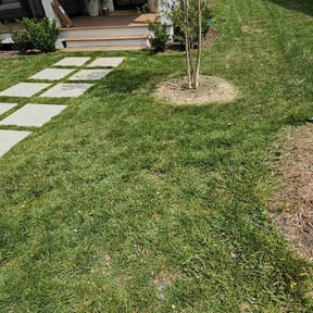 yard service by AA Property Services Inc reviewed on August 18, 2025