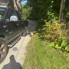 lawn care by D &amp; A services reviewed on November 9, 2021