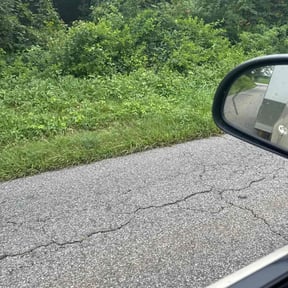 Bush Trimming by Fairwood Landscape reviewed on November 5, 2025