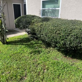 Bush Trimming by Elite Lawnworks reviewed on October 22, 2025