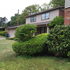 grass maintenance by JR Landscaping Company reviewed on August 14, 2025