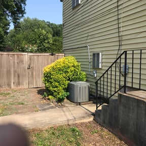 Bush Trimming by AWWsome lawncare and Landscaping llc reviewed on June 12, 2025