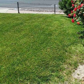 Bush Trimming by Kuiper Lawn and Natural Landscapes reviewed on December 14, 2023