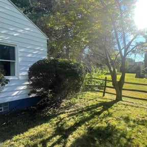 Bush Trimming by Hillscapes reviewed on August 18, 2025