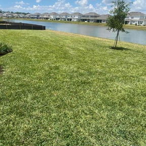 landscape maintenance by Terra Scapes (Duplicate) reviewed on August 21, 2025