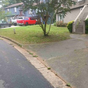 Bush Trimming by Randy's lawncare reviewed on August 7, 2023