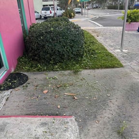 Bush Trimming by Planet Green reviewed on August 14, 2024