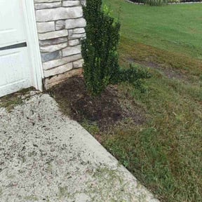 Flower Bed Weeding by Black Oak Lawn and Lumber reviewed on August 19, 2026