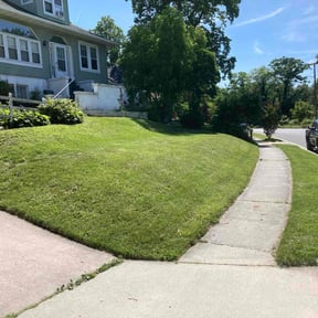 lawn maintenance by Benjamin Lawn Solutions reviewed on November 25, 2023