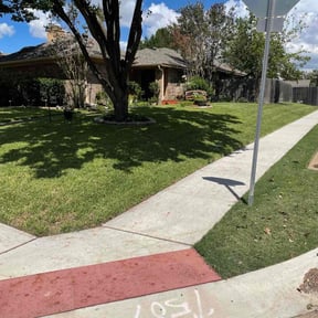 landscape maintenance by MOG &amp; Landscaping reviewed on December 10, 2025