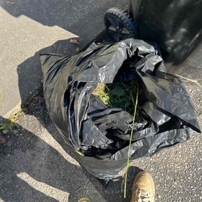 Flower Bed Weeding by SAUERWINSIMPLESERVICESLLC reviewed on October 21, 2025