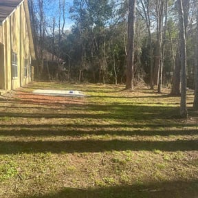 Leaf Removal by Top Turf L.L.C reviewed on August 19, 2025