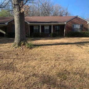 Leaf Removal by  reviewed on January 13, 2026