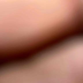 Bush Trimming by K and b property solutions llc reviewed on November 19, 2025