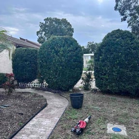 Bush Trimming by Ashby Family Lawn &amp; Landscapes reviewed on December 7, 2025