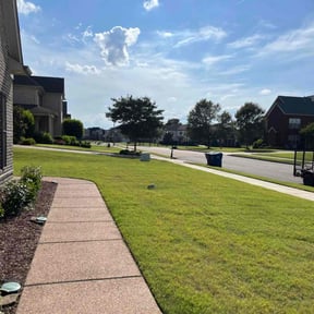 yard work by JJlascaping & mansory reviewed on August 17, 2025