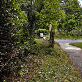 Bush Trimming by ProGreenlq reviewed on April 22, 2026