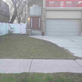 Leaf Removal by Kyleco reviewed on April 30, 2026
