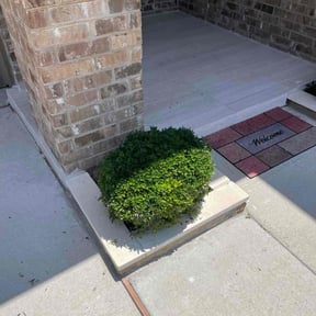 Bush Trimming by Long Haul LLC reviewed on August 21, 2025