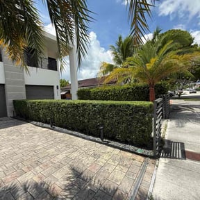 Bush Trimming by Titan Mowing &amp; JMS Handy Services reviewed on October 20, 2025