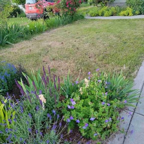 Flower Bed Weeding by Jay's Landscaping reviewed on June 16, 2026