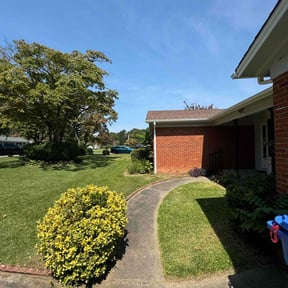 Long Grass Cleanup by Ariel and daddy lawn care reviewed on August 16, 2025