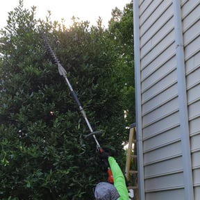 Bush Trimming by real lawn service reviewed on August 13, 2025